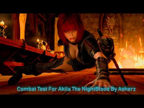 Skyrim Followers Akila The Nightblade Epic Combat 4k HD