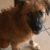 Profile picture of Cosmo